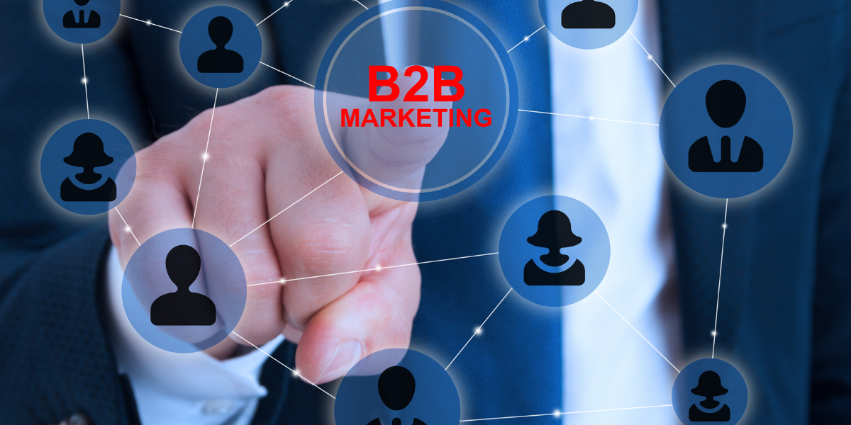 B2B Service Providers & Agencies